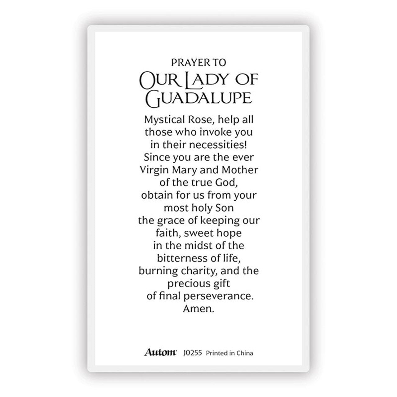 Big Laminated OLG Prayer Card