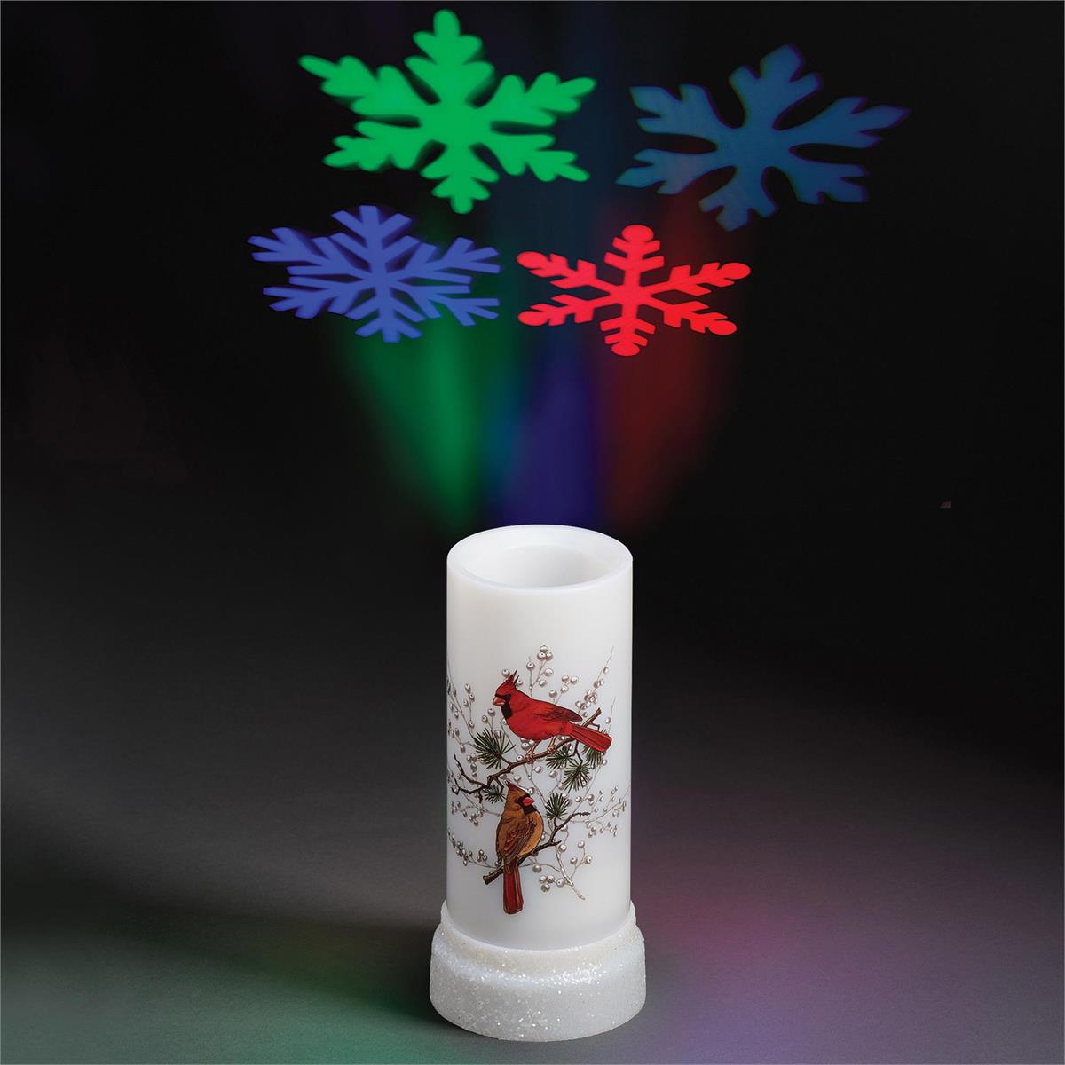 Cardinal Lighted Projector