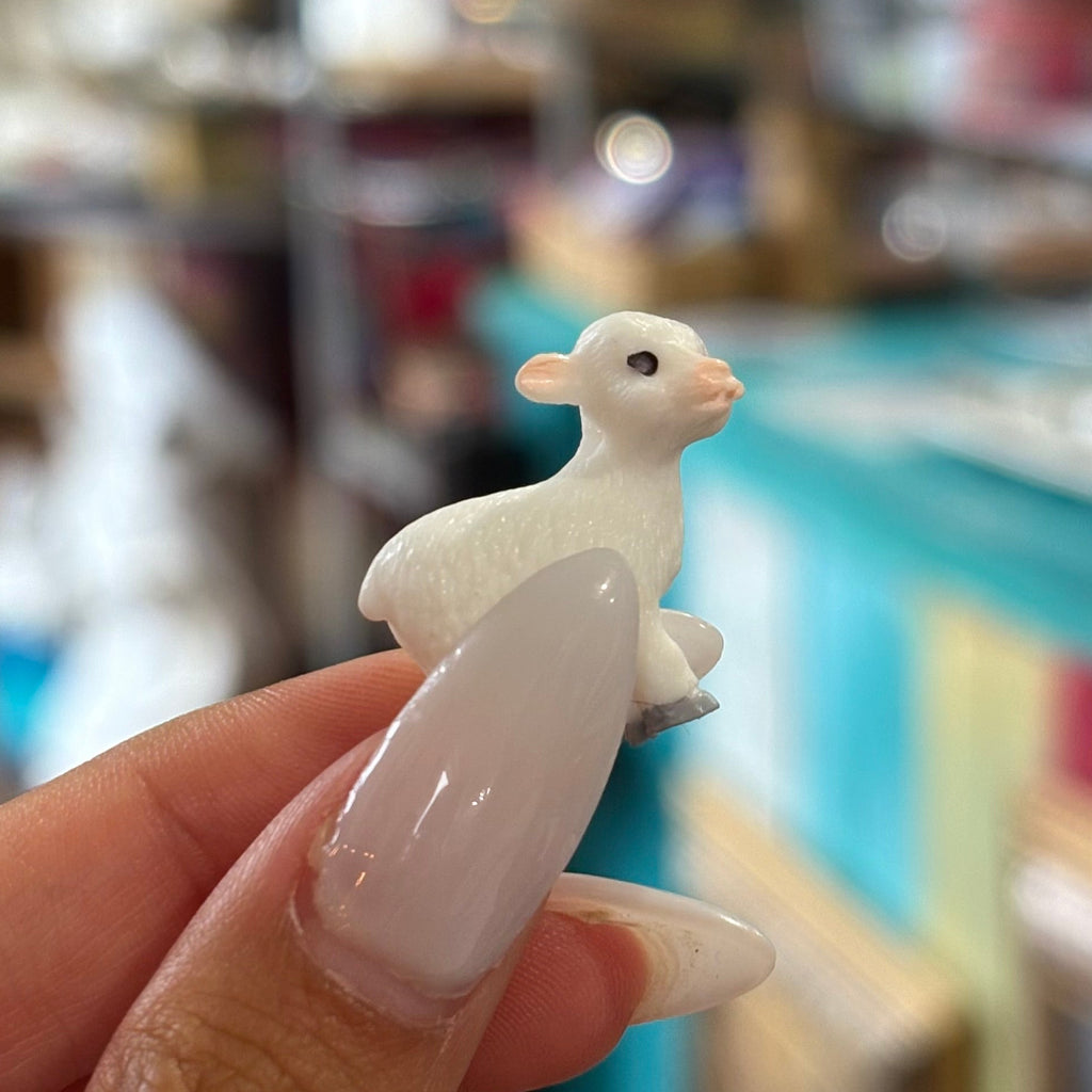 Mini White Lamb