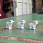 Mini White Lamb