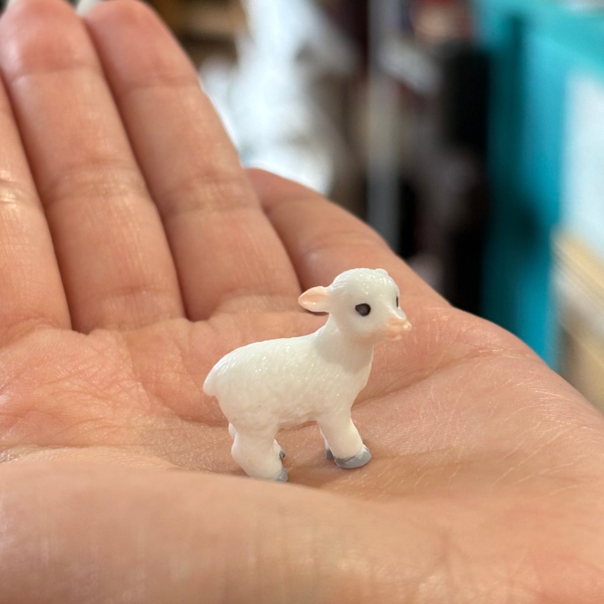 Mini White Lamb