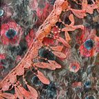 Colorful Floral Veils