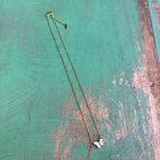 Mother of Pearl Butterflies