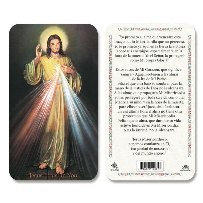 Laminated Mary and Jesus Prayer Cards
