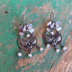 Lovebird Collection