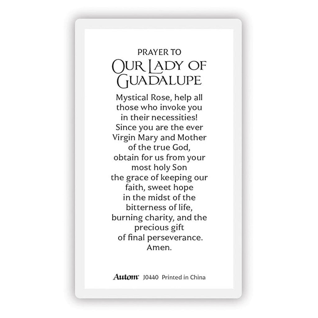 Laminated Mary and Jesus Prayer Cards